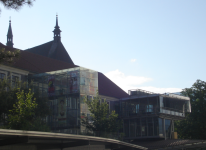 Kunsthalle und Museum